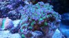 20160225_144726_Richtone(HDR)[1].