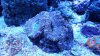 20160303_190242.