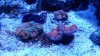 20160303_190248.