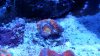20160303_190254.