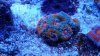 20160303_191526.