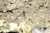dsc03359_231.