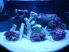 dsc00135_134.