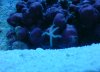 dsc00147_272.