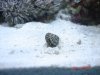 dsc02536_193.
