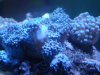 dsc02728_160.