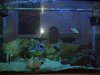 dscf3377_579.