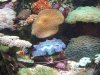 dscf3343_198.