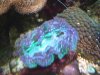 dscf3105_161.