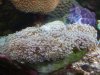 dscf3344_194.