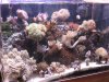 fotos_1_335_121.