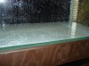 _dsc00421_290.