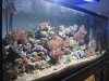 img_1980_135.