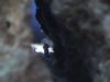 dsc00409_578.