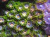 713_1320_1_1_543.