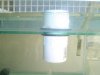 dsc01440_173.