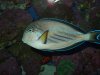 dscf1665_893.