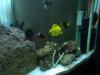 dsc00182_187.