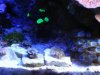 dsc00587_1_1_271.