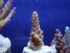 dsc00760_1_1_991.