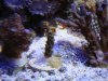 dsc00569_1_1_120.