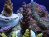 dsc00754_1_1_113.