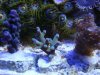 dsc00564_1_1_199.