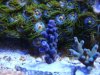 dsc00559_1_1_174.