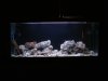 dsc01634_191.