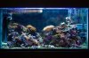 acuario_tf_7_113.