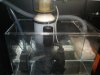SUMP1.