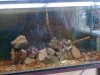 Imagen105.