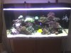 acuario 002.