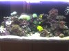 acuario 005.
