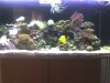 acuario 011.