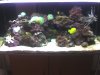 acuario 013.