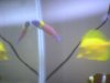 DSC01287.JPG