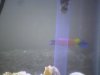 DSC01304.JPG