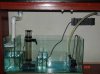 sump1.