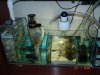 sump general.