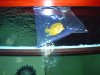 DSCF0028.JPG