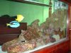 DSCF0065.JPG