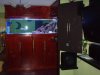 DSCF0093.JPG