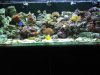 reef072xx0.