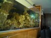 300309_0949[00].
