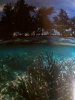 100_3439.JPG