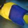 HERRERAM