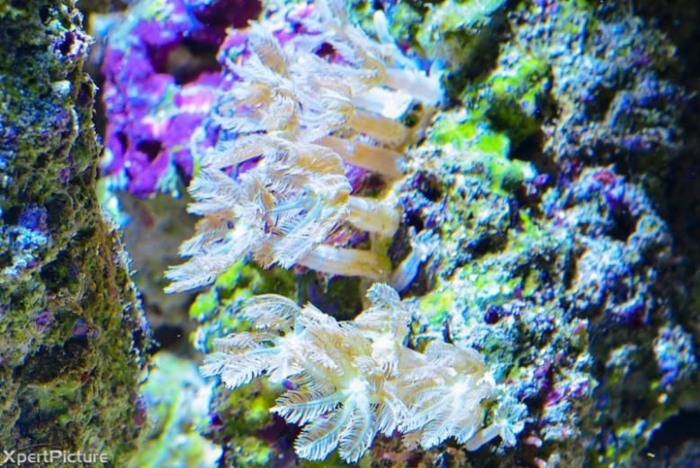 DSC 3839