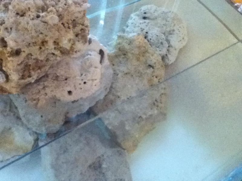 Rocas recolectadas de la playa y pegadas con kola-loka.