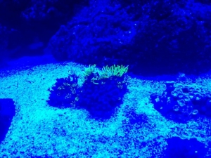 IMG_4706.JPG